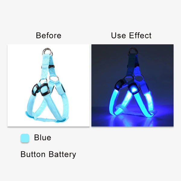 LED Dog Harness for Safety: Bright LumiTrail Lights for Safe Walks