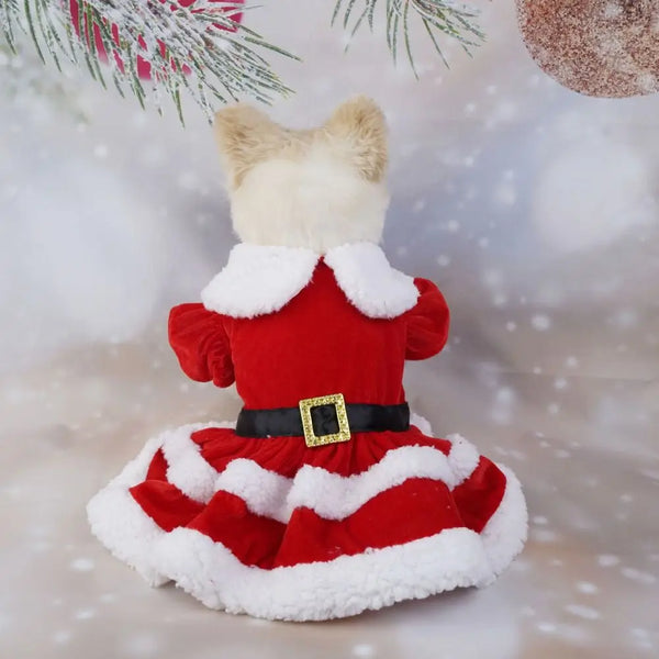 Christmas Pet Outfits – Holiday Apparel for Dogs & Kittens