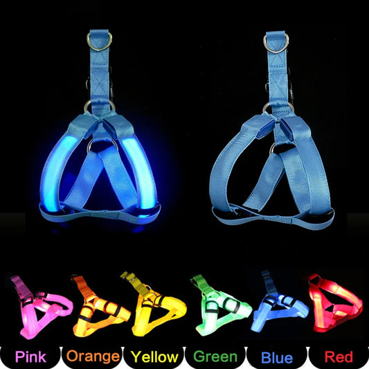 LED Dog Harness for Safety: Bright LumiTrail Lights for Safe Walks
