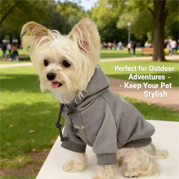 Urban Tail Dog Hoodie