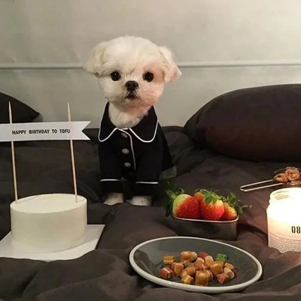 Cozy nights with pet pyjamas