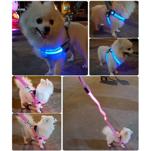 LED Dog Harness for Safety: Bright LumiTrail Lights for Safe Walks