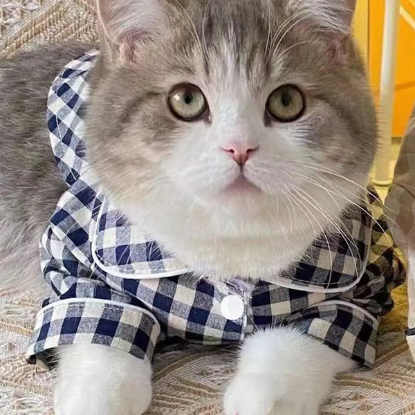 pet pyjamas for sweet dreams