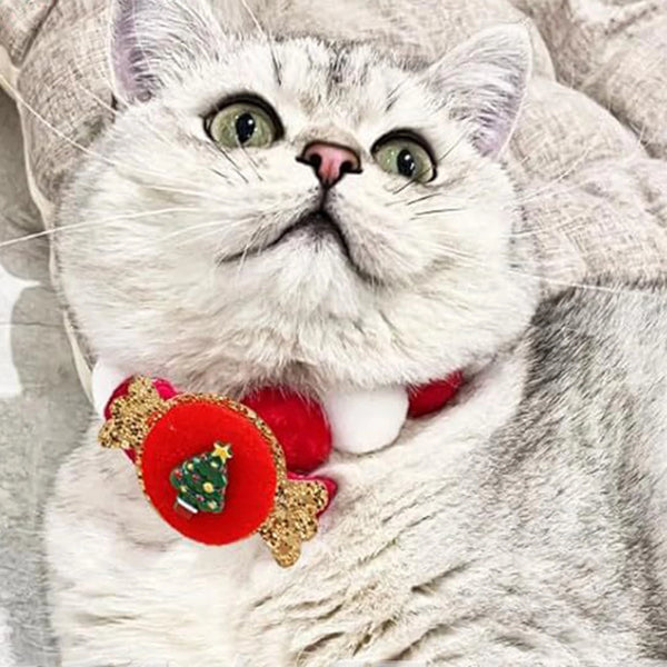 Holiday Pet Accessories – Christmas Collars & Bow Ties for Dogs & Cats