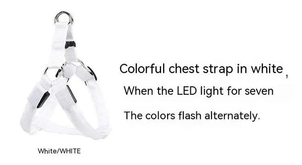 LED Dog Harness for Safety: Bright LumiTrail Lights for Safe Walks