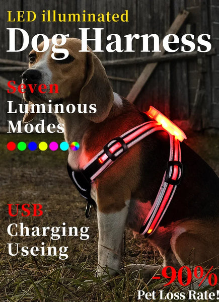 TrailGlow LED Dog Harness: Ultimate Safety with LED Visibility