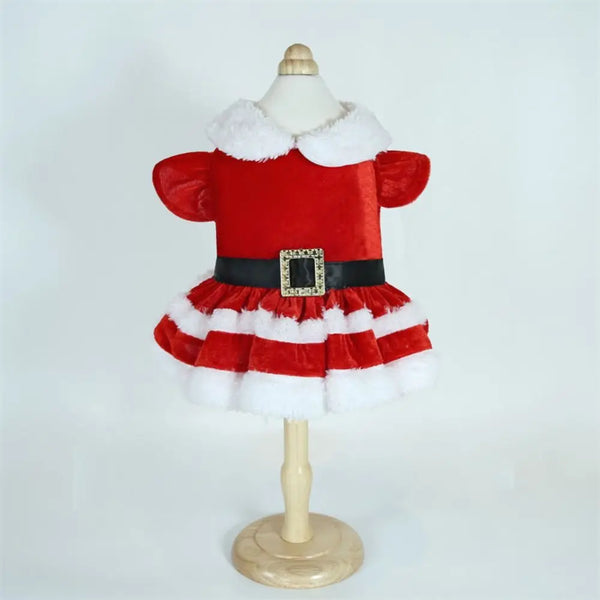 Christmas Pet Outfits – Holiday Apparel for Dogs & Kittens