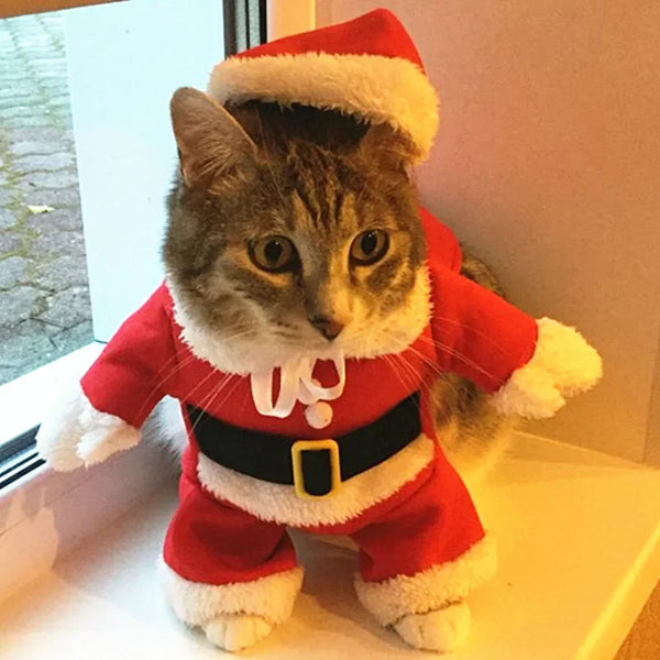 Holiday Pet Costumes – Christmas Apparel for Dogs & Kittens
