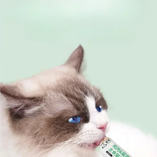 High Protein Cat Snacks with Fresh Meat - 50pcs Nutritional Treats