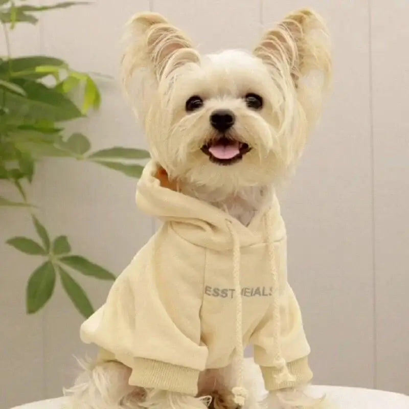 Urban Tail Dog Hoodie