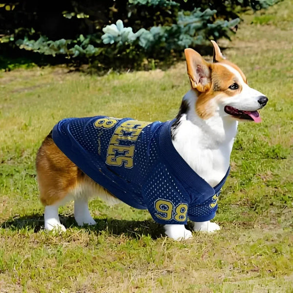 Breathable Dog Sports Jersey for Active Schnauzers & Large Pets