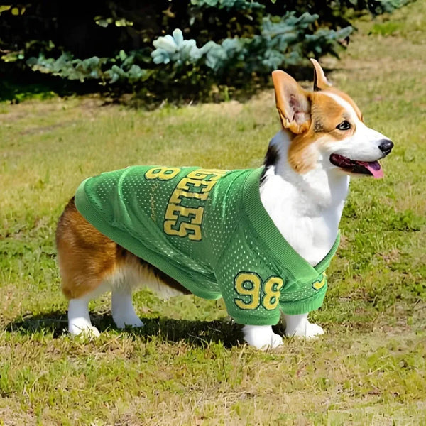 Breathable Dog Sports Jersey for Active Schnauzers & Large Pets