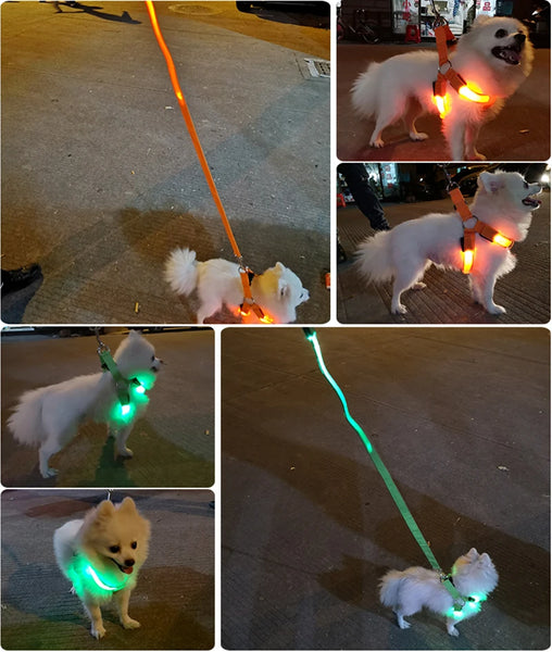 LED Dog Harness for Safety: Bright LumiTrail Lights for Safe Walks