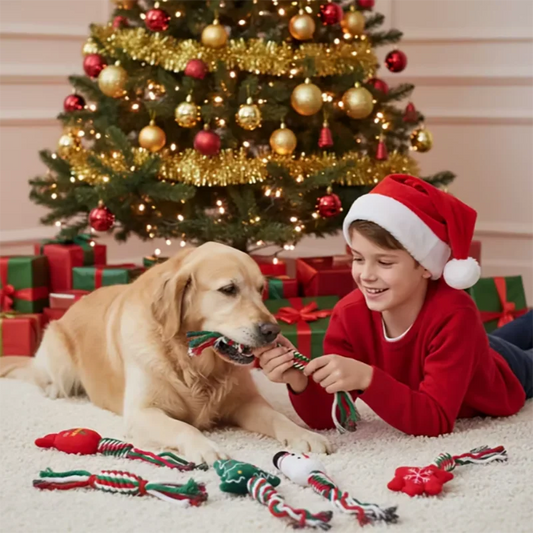 Christmas Pet Toy – Festive Holiday Fun for Dogs & Cats