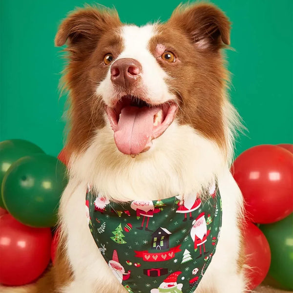 Holiday Cheer Dog Bandanas – Christmas Style for Pets