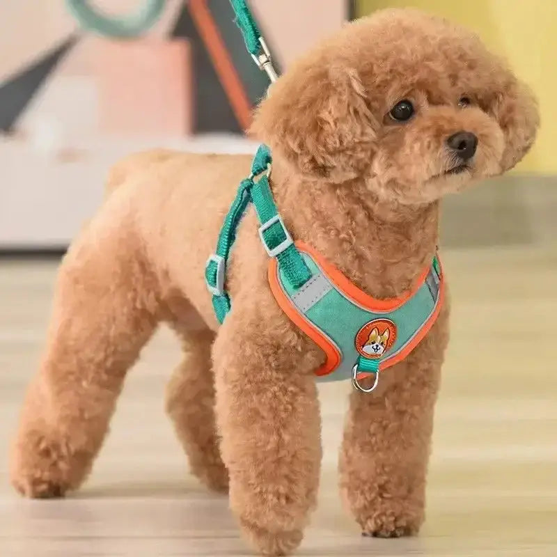 Reflective Dog Harness Leash in buckskin with adjustable straps, shown on a small poodle for safe walking and secure fit.