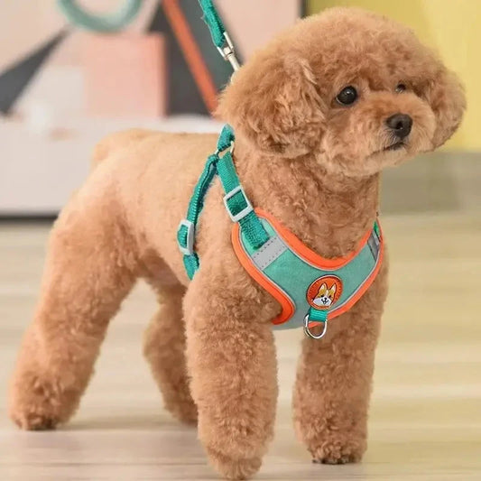 Reflective Dog Harness Leash in buckskin with adjustable straps, shown on a small poodle for safe walking and secure fit.