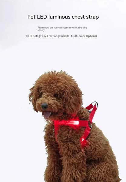 LED Dog Harness for Safety: Bright LumiTrail Lights for Safe Walks
