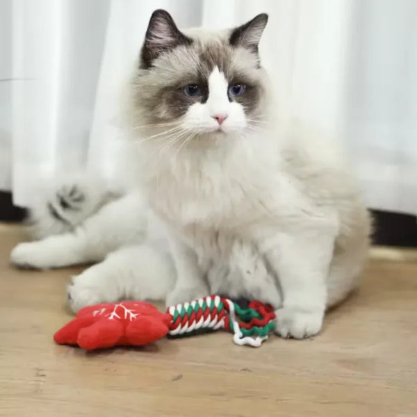 Christmas Pet Toy – Festive Holiday Fun for Dogs & Cats