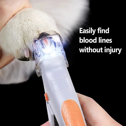 Pet nail clipper with orange grip and built-in LED light, shown illuminating a dog's nail for safe trimming and bloodline visibility.