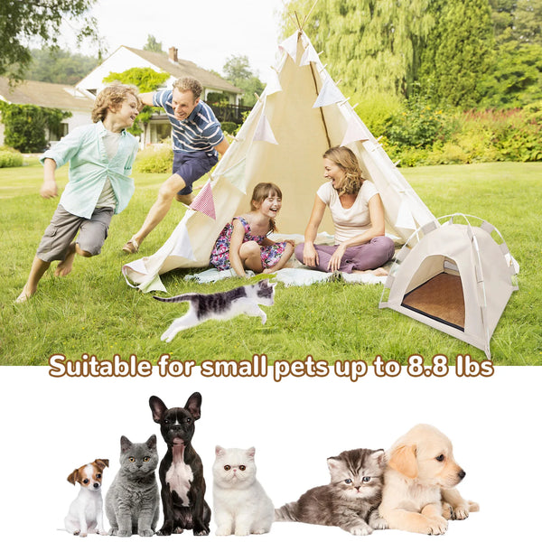 Comfortable Pet Houses: Warm Havens for Cats & Dogs