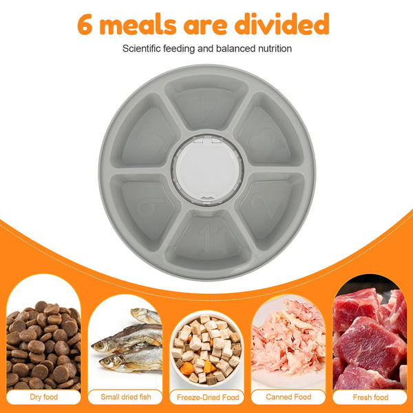 Automatic Pet Feeder with Digital Timer for Hassle-Free Feeding